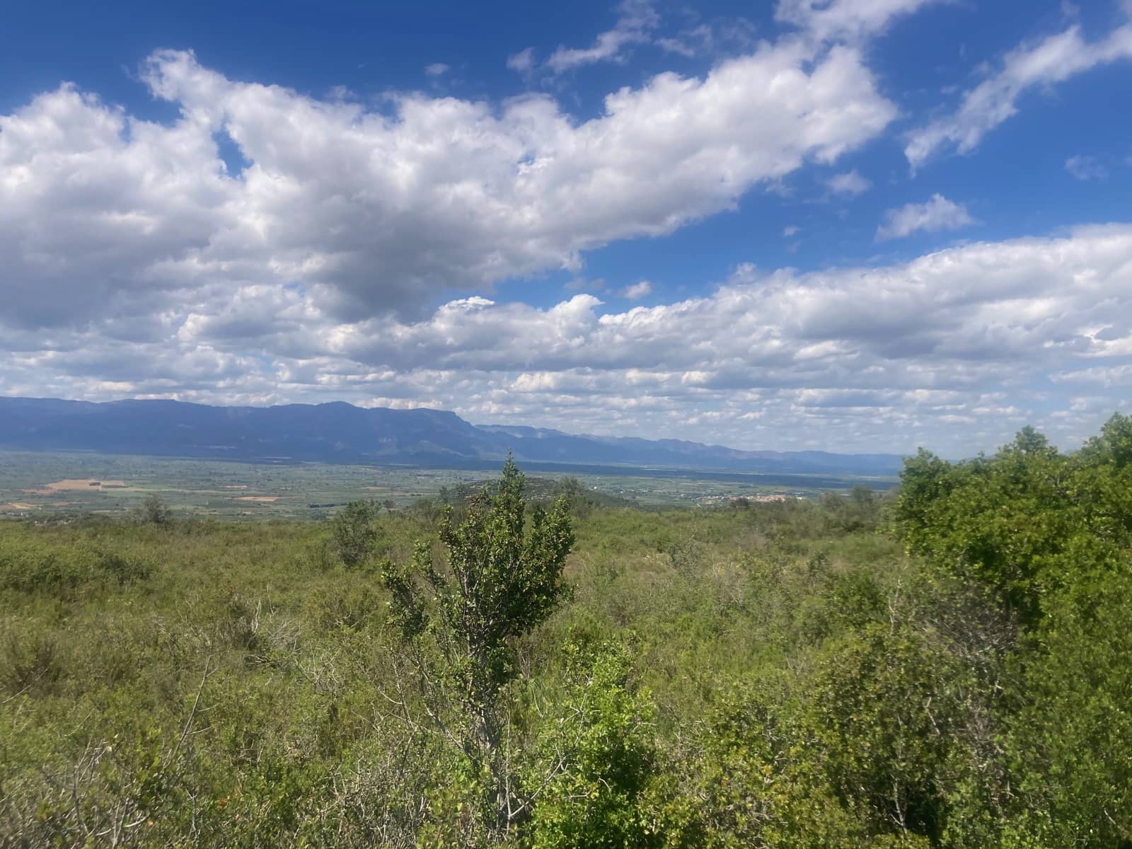 1 Zimmer Finca/Landgut zu verkaufen in El Perello - 33.000 € (Ref: 9870367)