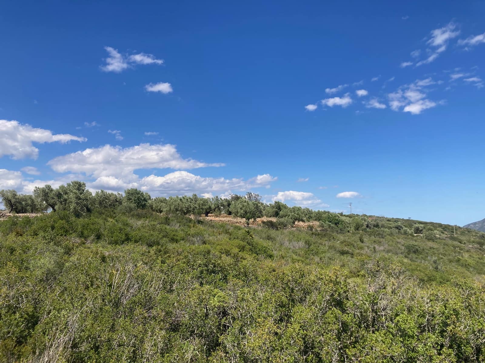 1 Zimmer Finca/Landgut zu verkaufen in El Perello - 33.000 € (Ref: 9870367)