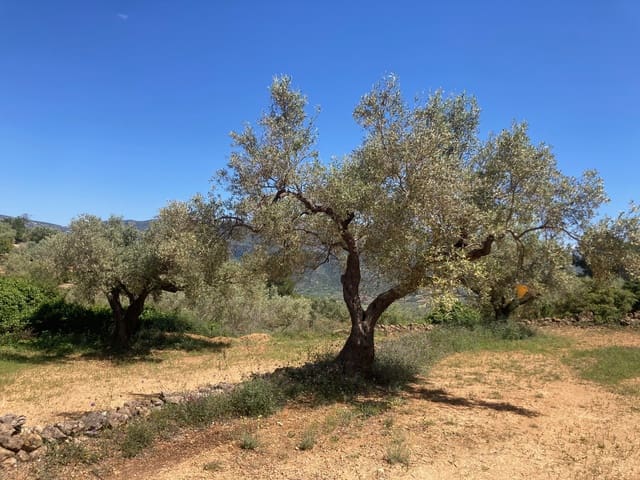 Finca/Casa Rural de 1 habitación en El Perelló en venta - 33.000 € (Ref: 9870367)