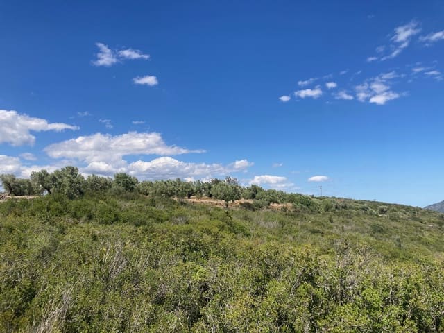 Finca/Casa Rural de 1 habitación en El Perelló en venta - 33.000 € (Ref: 9870367)