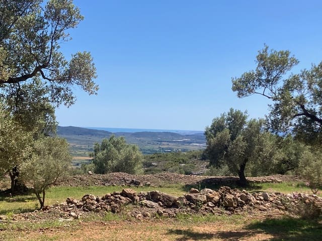 Finca/Casa Rural de 1 habitación en El Perelló en venta - 33.000 € (Ref: 9870367)
