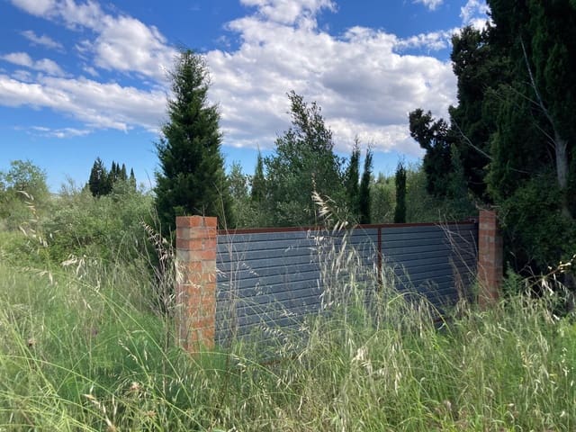 Teren niezagospodarowany na sprzedaż w Vinaròs - 9 000 € (Ref: 9870374)