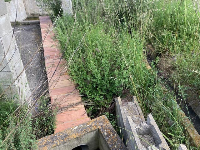 Teren niezagospodarowany na sprzedaż w Vinaròs - 9 000 € (Ref: 9870374)