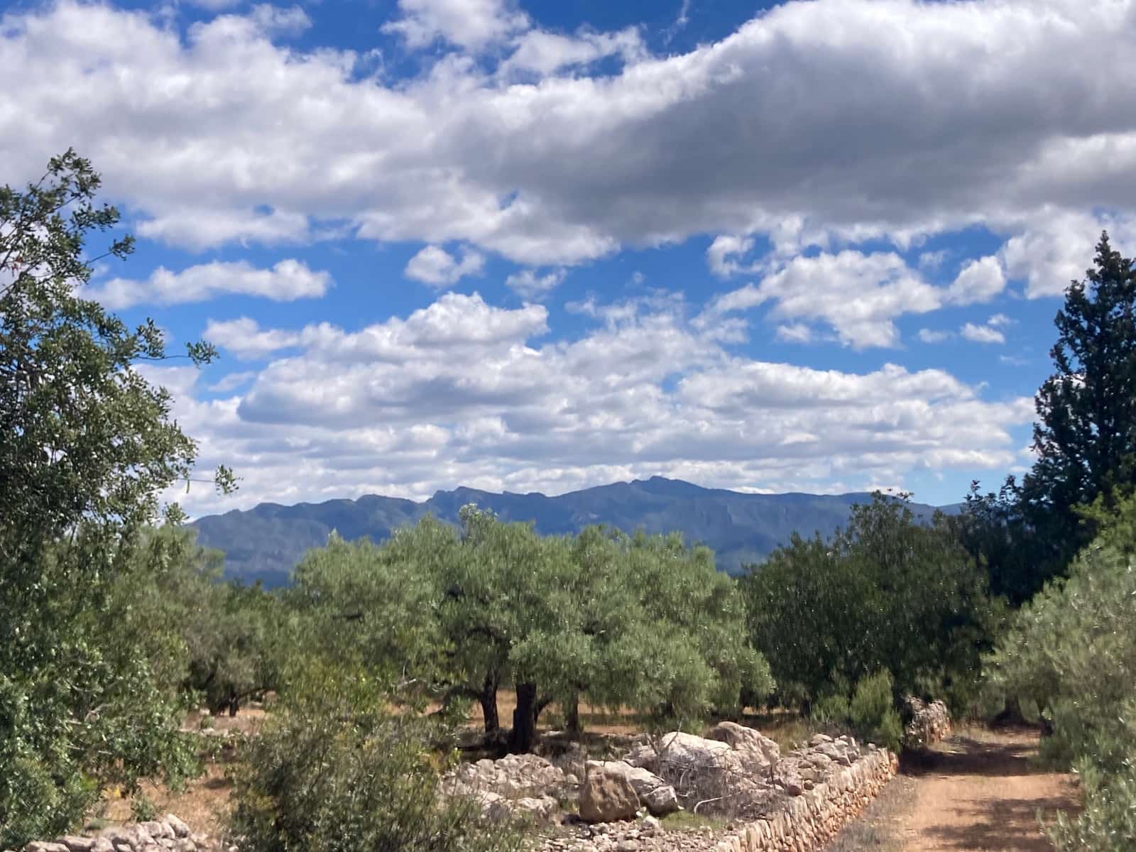 2 slaapkamer Finca/Landhuis te koop in El Perello - € 89.000 (Ref: 9870387)