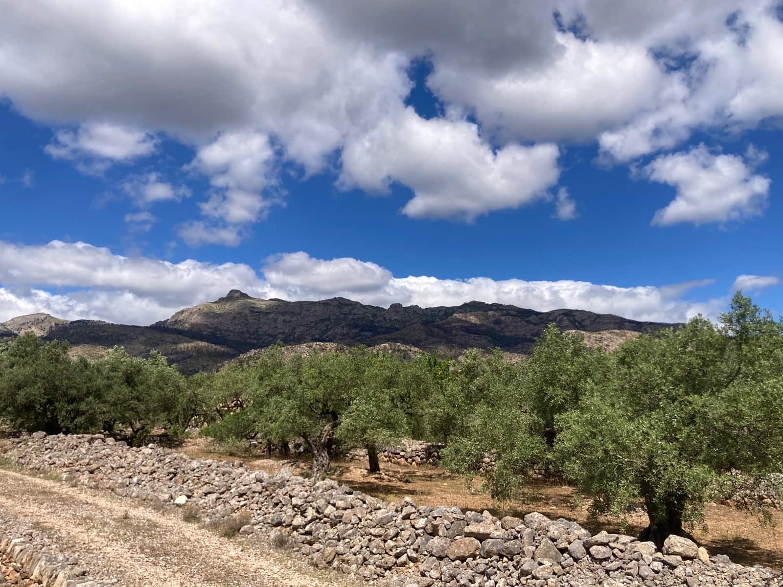 2 slaapkamer Finca/Landhuis te koop in El Perello - € 89.000 (Ref: 9870387)