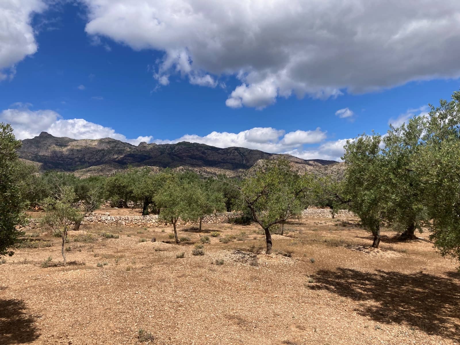 2 slaapkamer Finca/Landhuis te koop in El Perello - € 89.000 (Ref: 9870387)