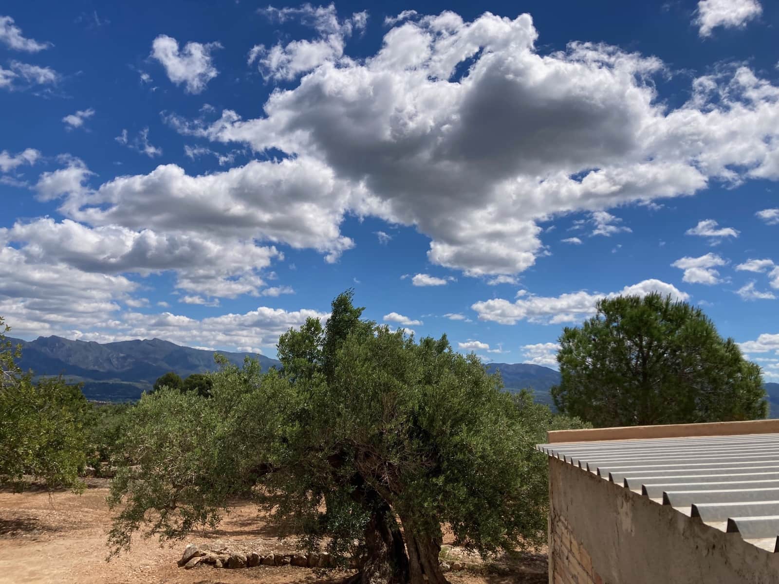 2 slaapkamer Finca/Landhuis te koop in El Perello - € 89.000 (Ref: 9870387)