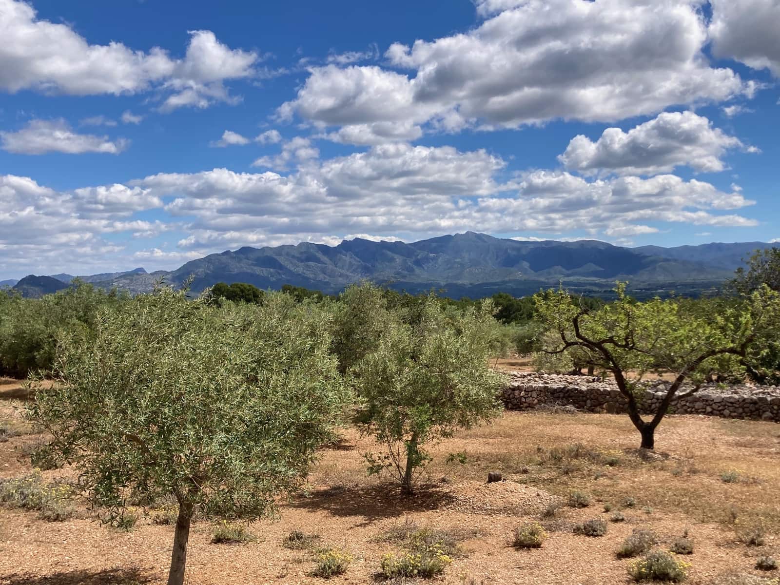 2 slaapkamer Finca/Landhuis te koop in El Perello - € 89.000 (Ref: 9870387)