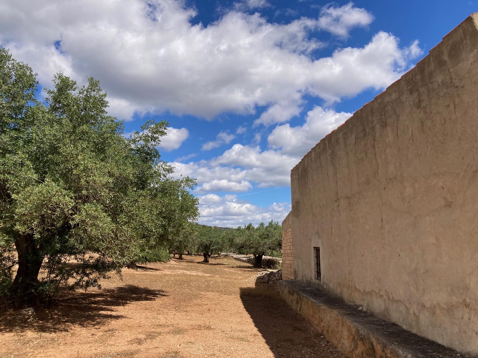 2 slaapkamer Finca/Landhuis te koop in El Perello - € 89.000 (Ref: 9870387)