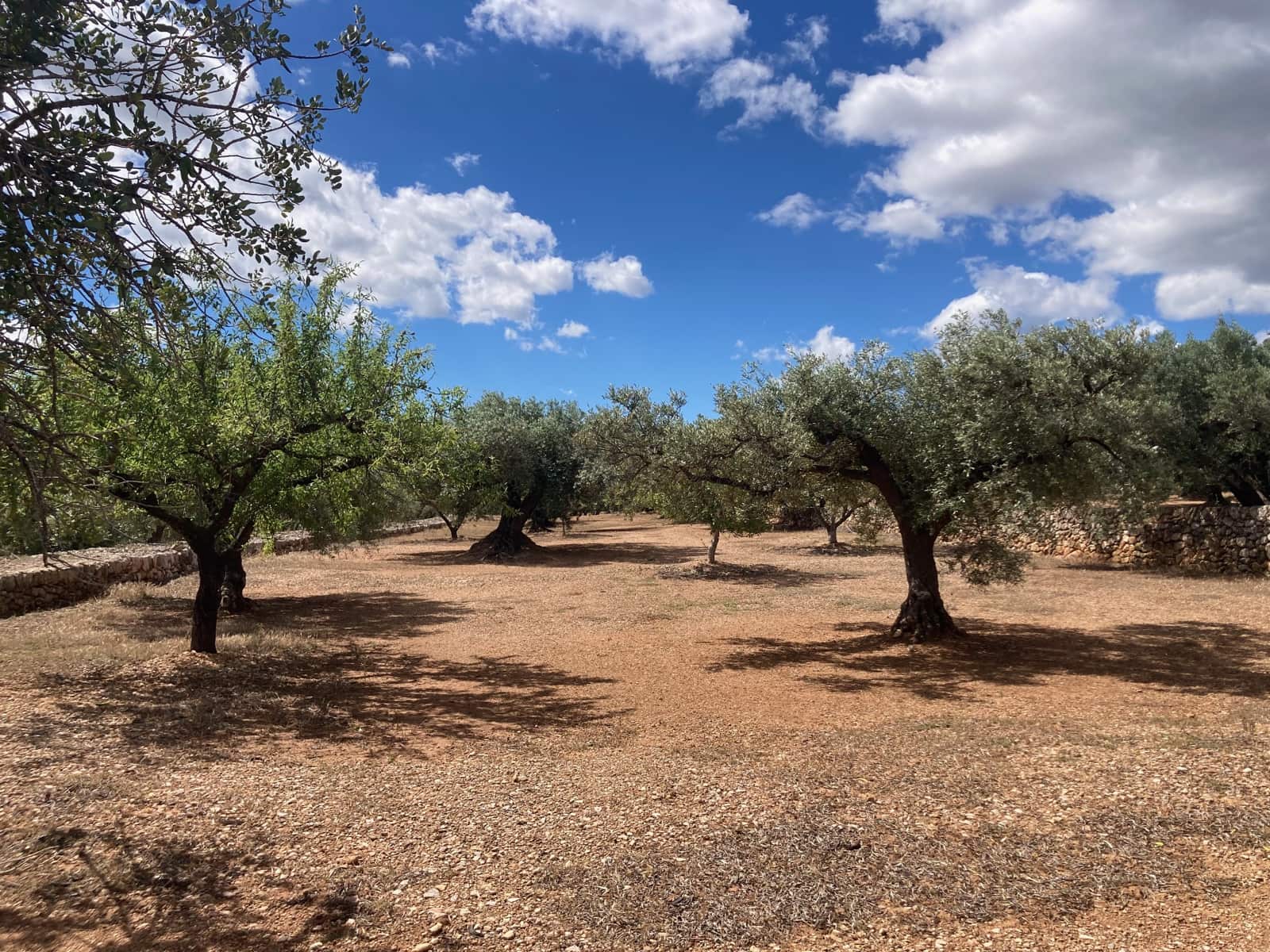 2 slaapkamer Finca/Landhuis te koop in El Perello - € 89.000 (Ref: 9870387)