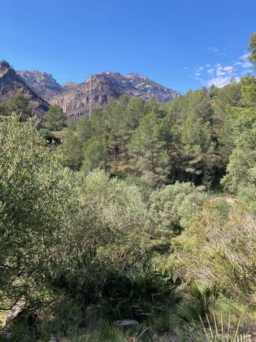 1 slaapkamer Finca/Landhuis te koop in El Perello - € 39.000 (Ref: 9870427)