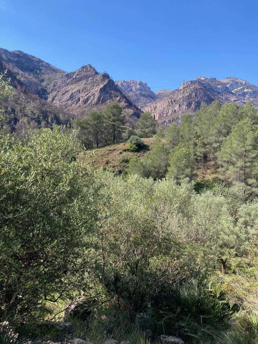 1 slaapkamer Finca/Landhuis te koop in El Perello - € 39.000 (Ref: 9870427)