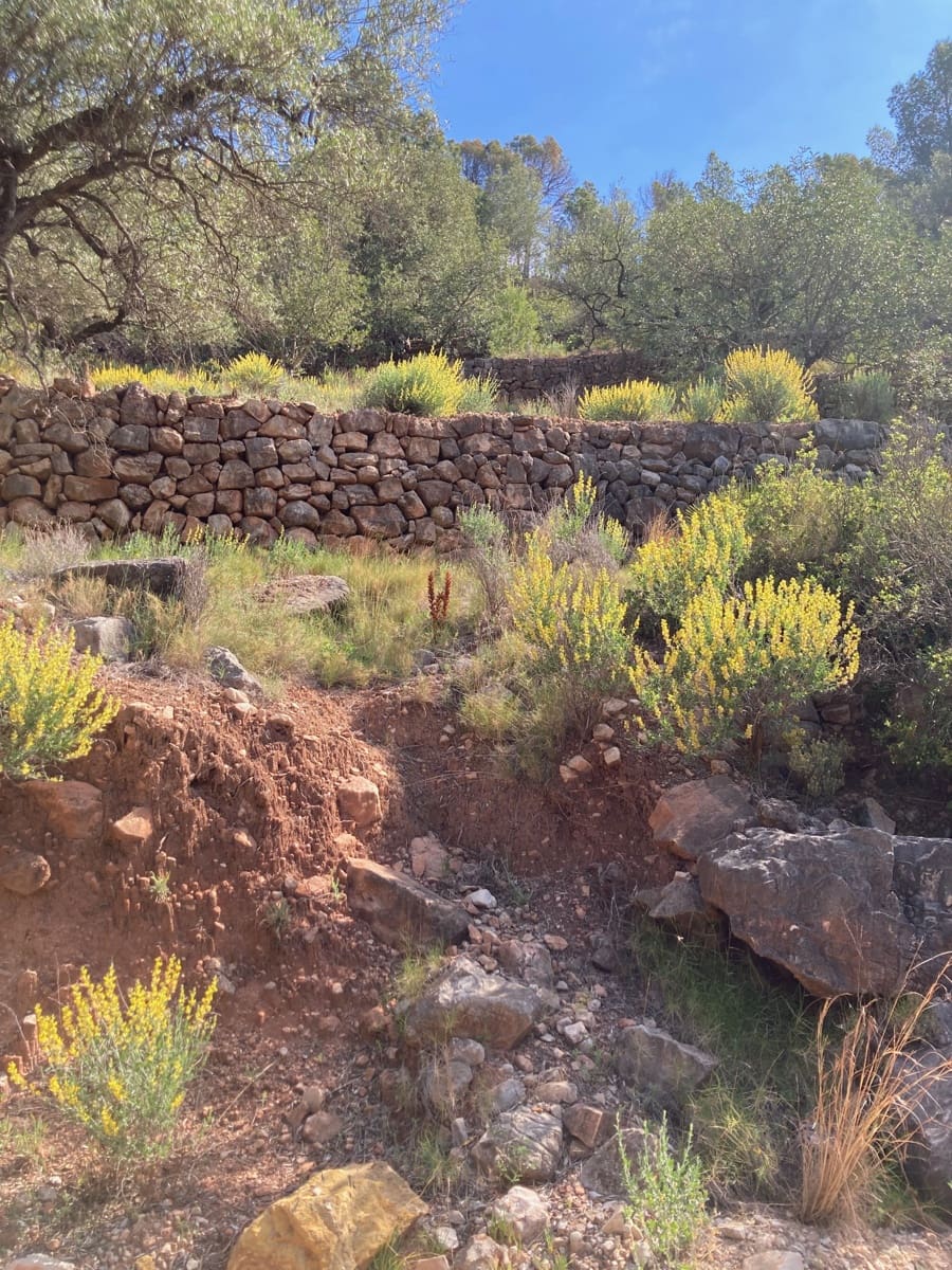 1 slaapkamer Finca/Landhuis te koop in El Perello - € 39.000 (Ref: 9870427)