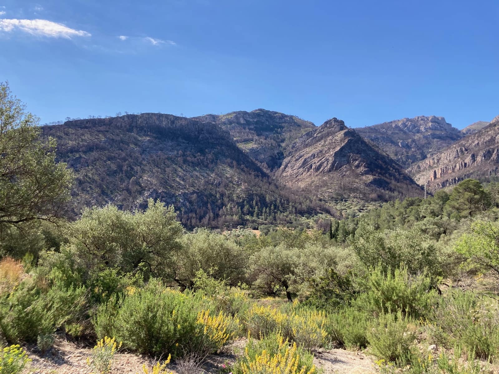 1 slaapkamer Finca/Landhuis te koop in El Perello - € 39.000 (Ref: 9870427)