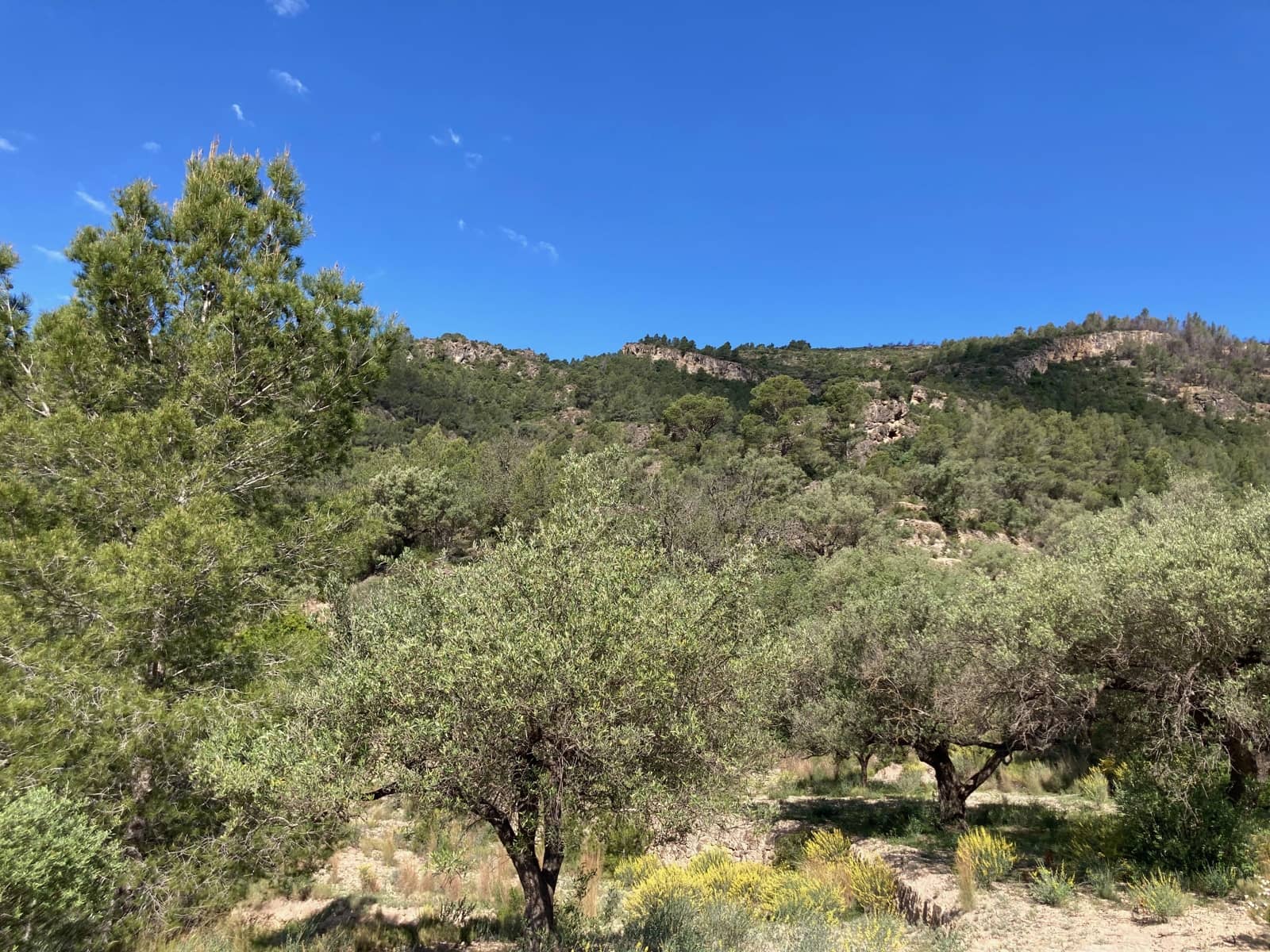 1 slaapkamer Finca/Landhuis te koop in El Perello - € 39.000 (Ref: 9870427)