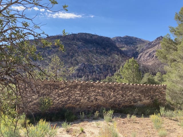 1 slaapkamer Finca/Landhuis te koop in El Perelló - € 39.000 (Ref: 9870427)