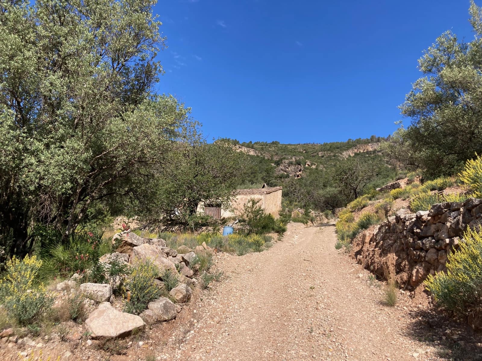 1 slaapkamer Finca/Landhuis te koop in El Perello - € 39.000 (Ref: 9870427)