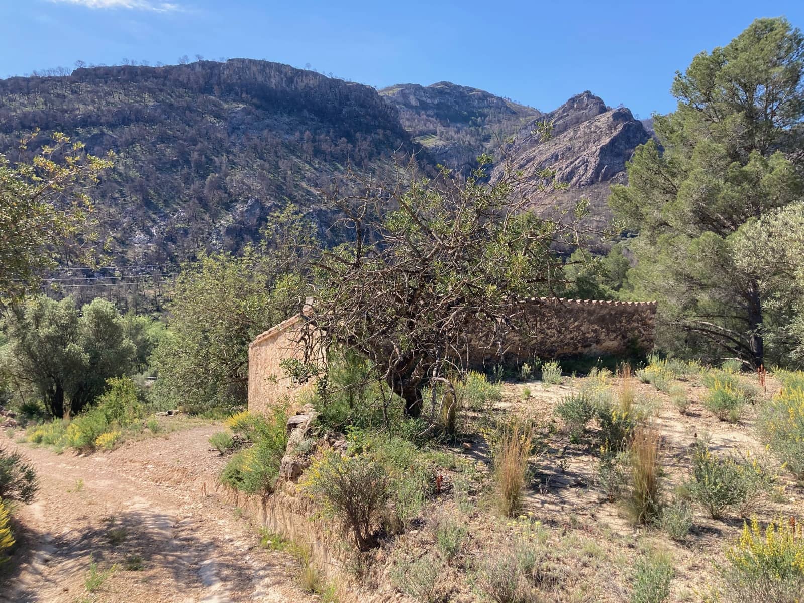 1 slaapkamer Finca/Landhuis te koop in El Perello - € 39.000 (Ref: 9870427)