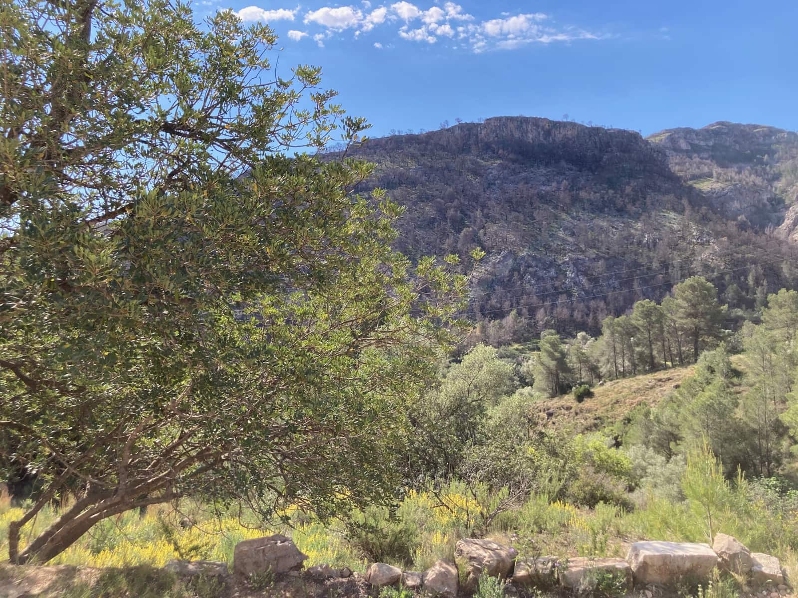 1 slaapkamer Finca/Landhuis te koop in El Perello - € 39.000 (Ref: 9870427)
