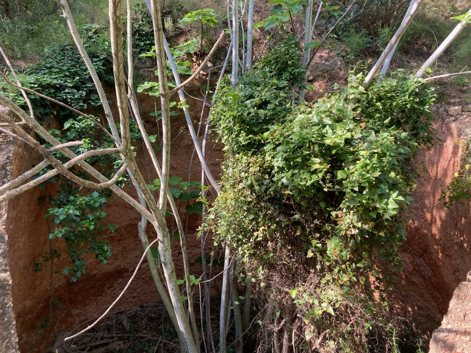 1 slaapkamer Finca/Landhuis te koop in El Perello - € 39.000 (Ref: 9870427)