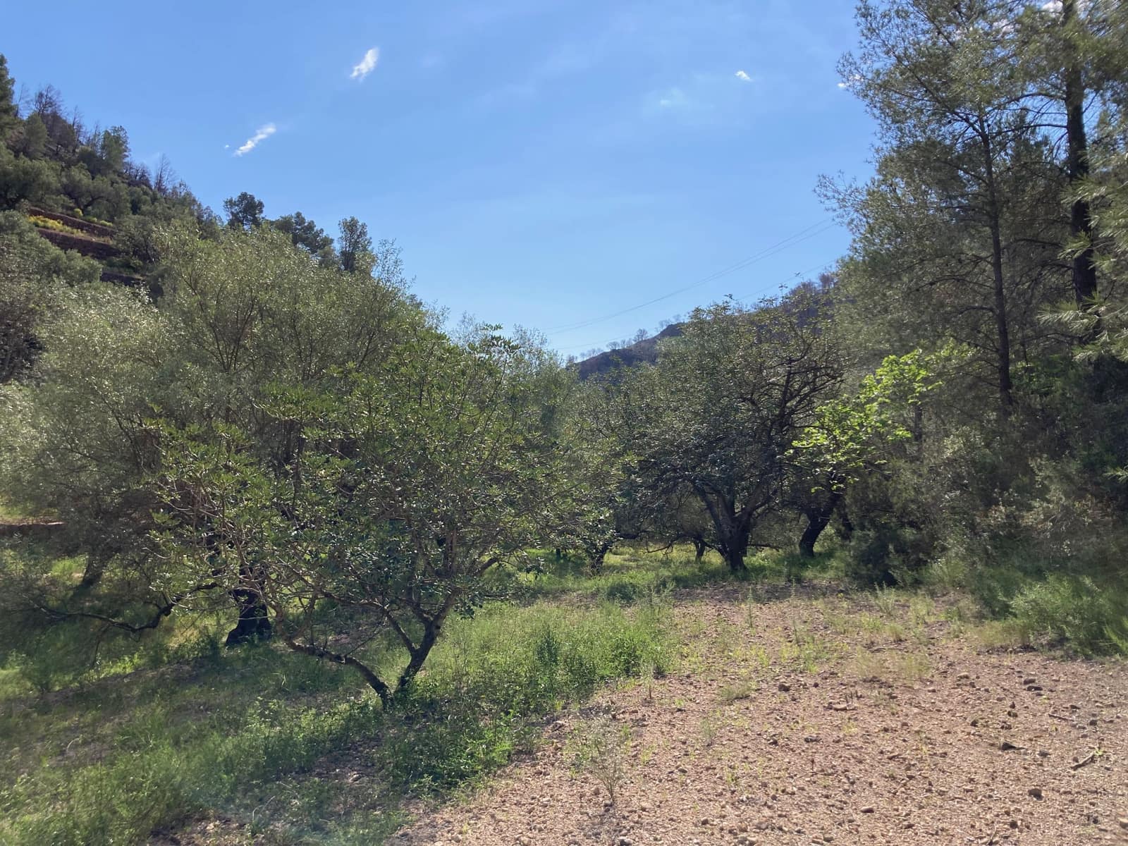 1 slaapkamer Finca/Landhuis te koop in El Perello - € 39.000 (Ref: 9870427)