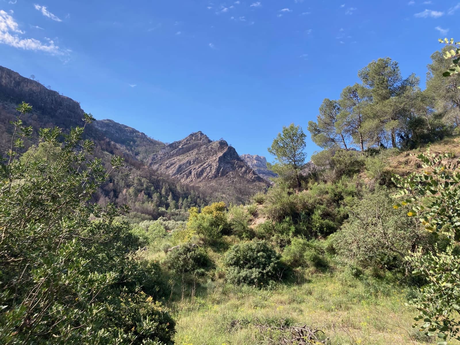 1 slaapkamer Finca/Landhuis te koop in El Perello - € 39.000 (Ref: 9870427)