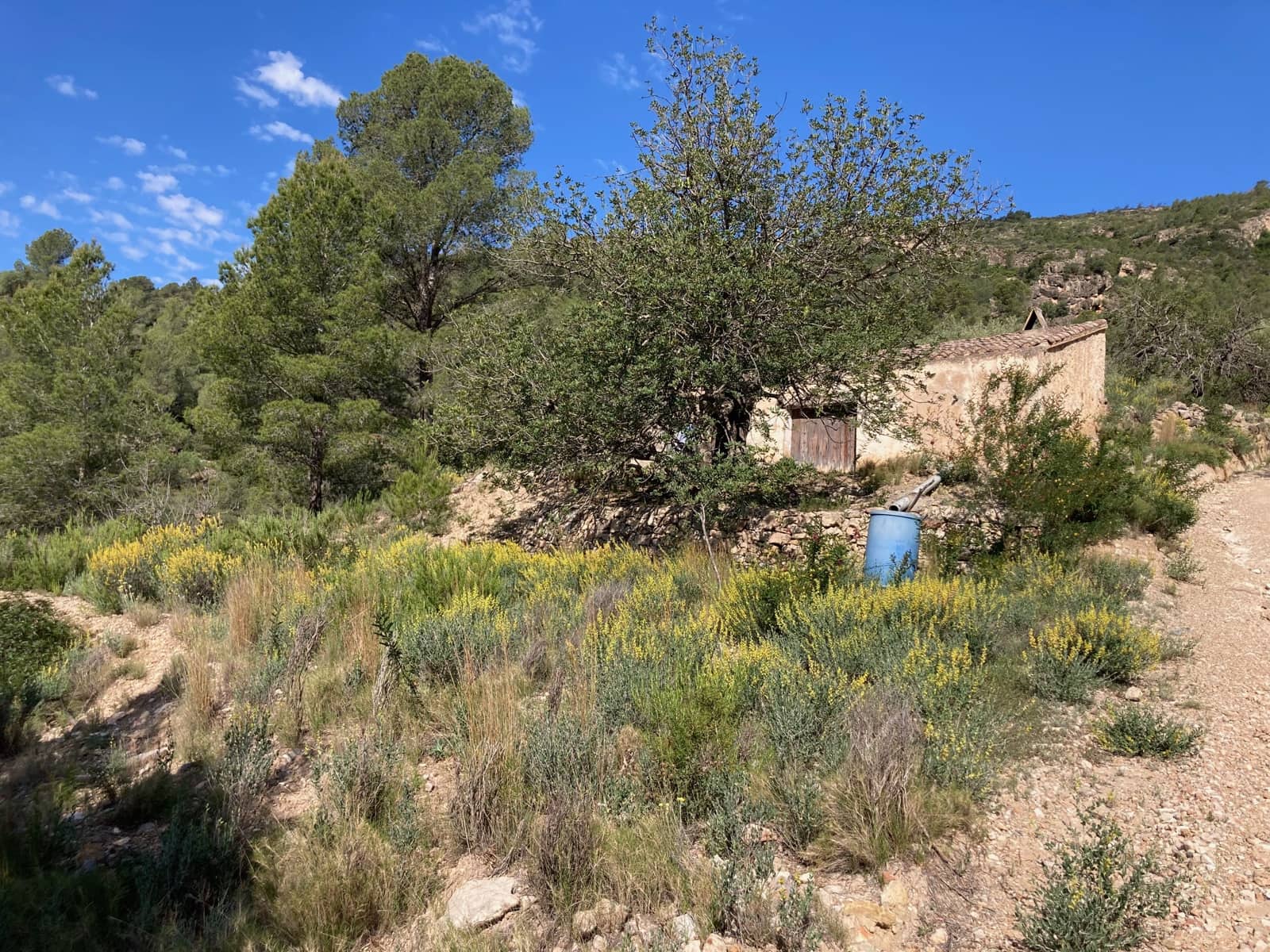1 slaapkamer Finca/Landhuis te koop in El Perello - € 39.000 (Ref: 9870427)