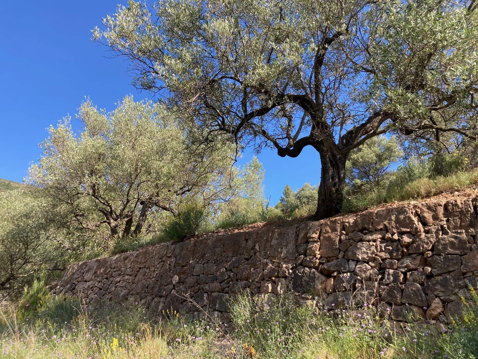 1 slaapkamer Finca/Landhuis te koop in El Perello - € 39.000 (Ref: 9870427)