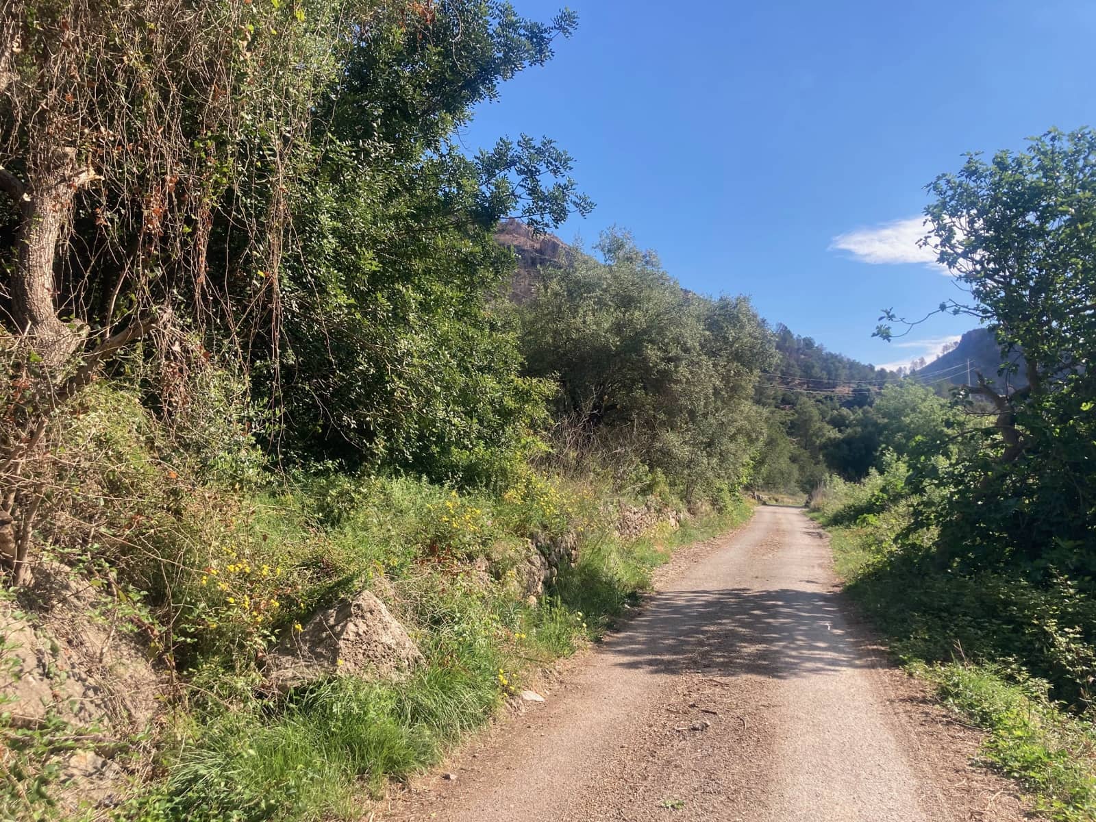 1 slaapkamer Finca/Landhuis te koop in El Perello - € 39.000 (Ref: 9870427)