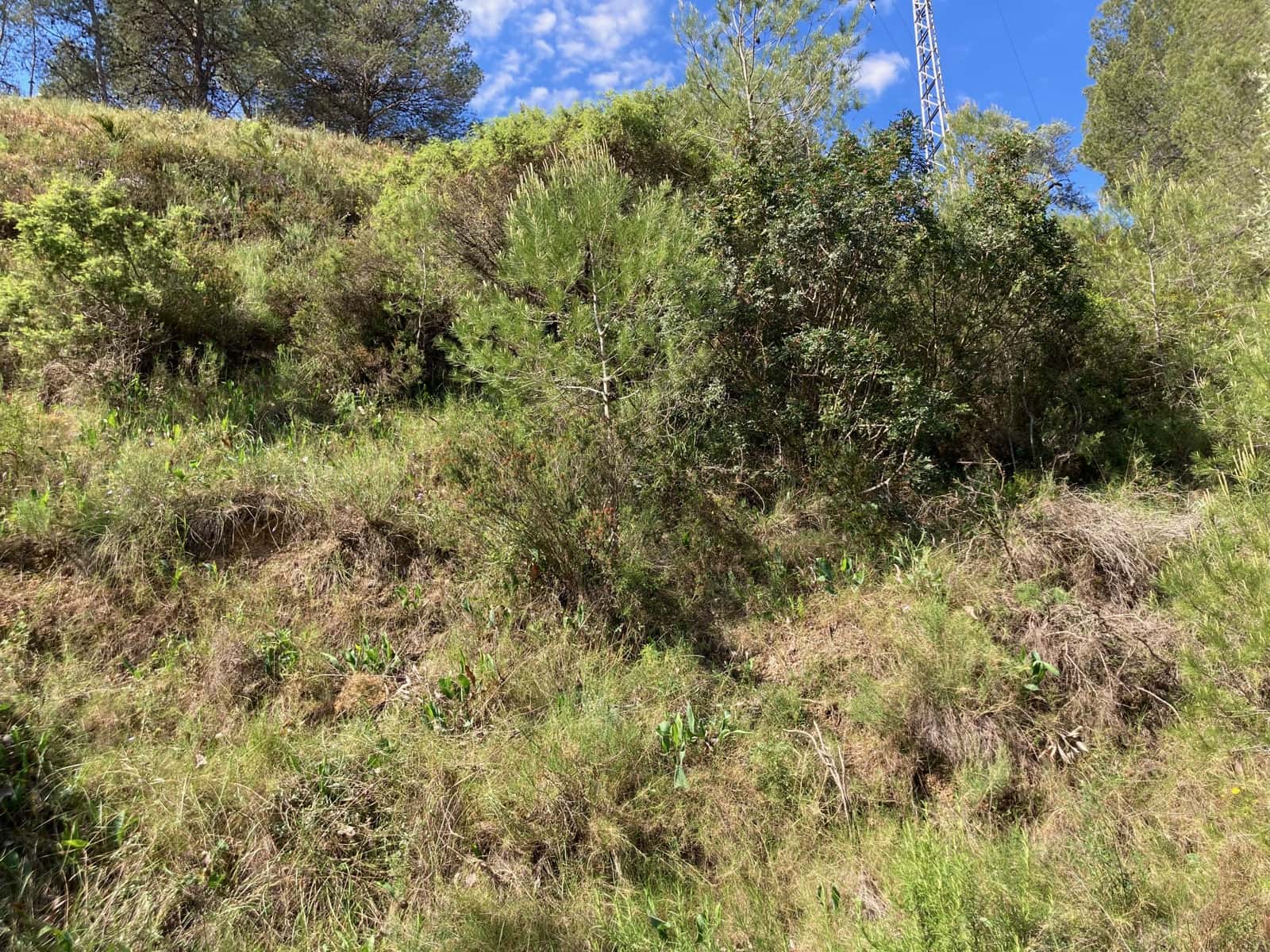 1 slaapkamer Finca/Landhuis te koop in El Perello - € 39.000 (Ref: 9870427)