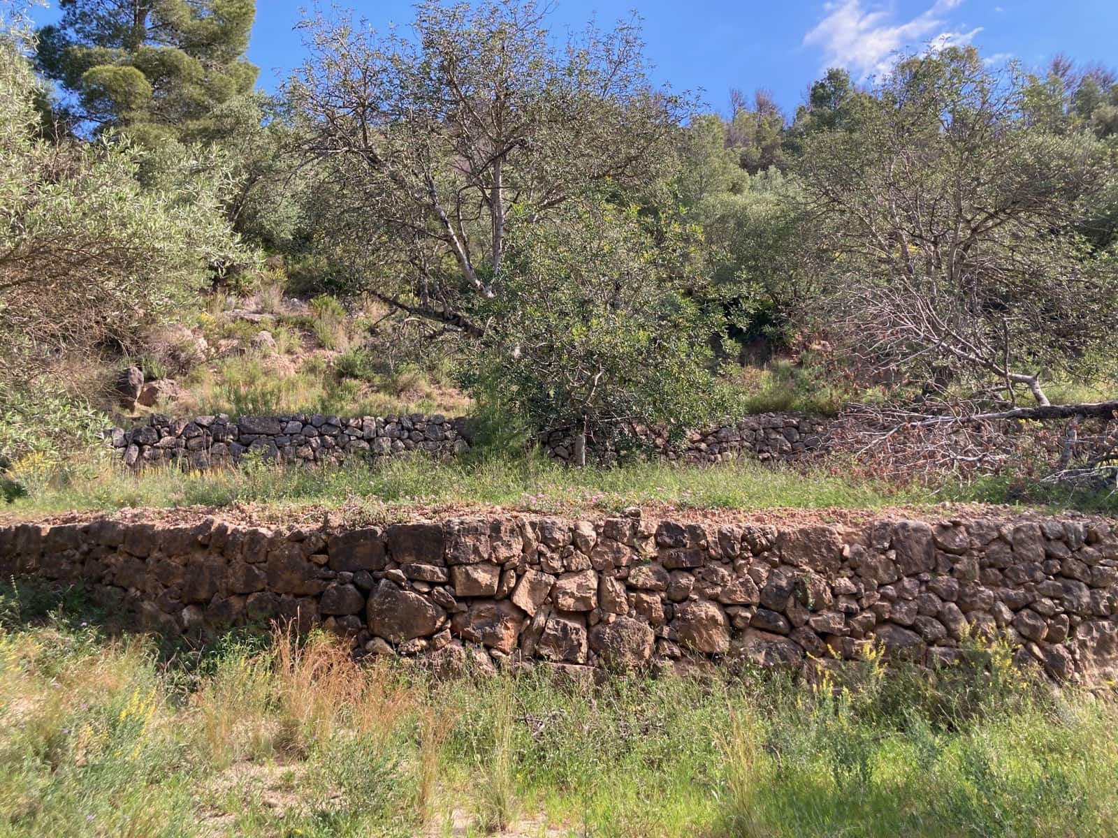 1 slaapkamer Finca/Landhuis te koop in El Perello - € 39.000 (Ref: 9870427)