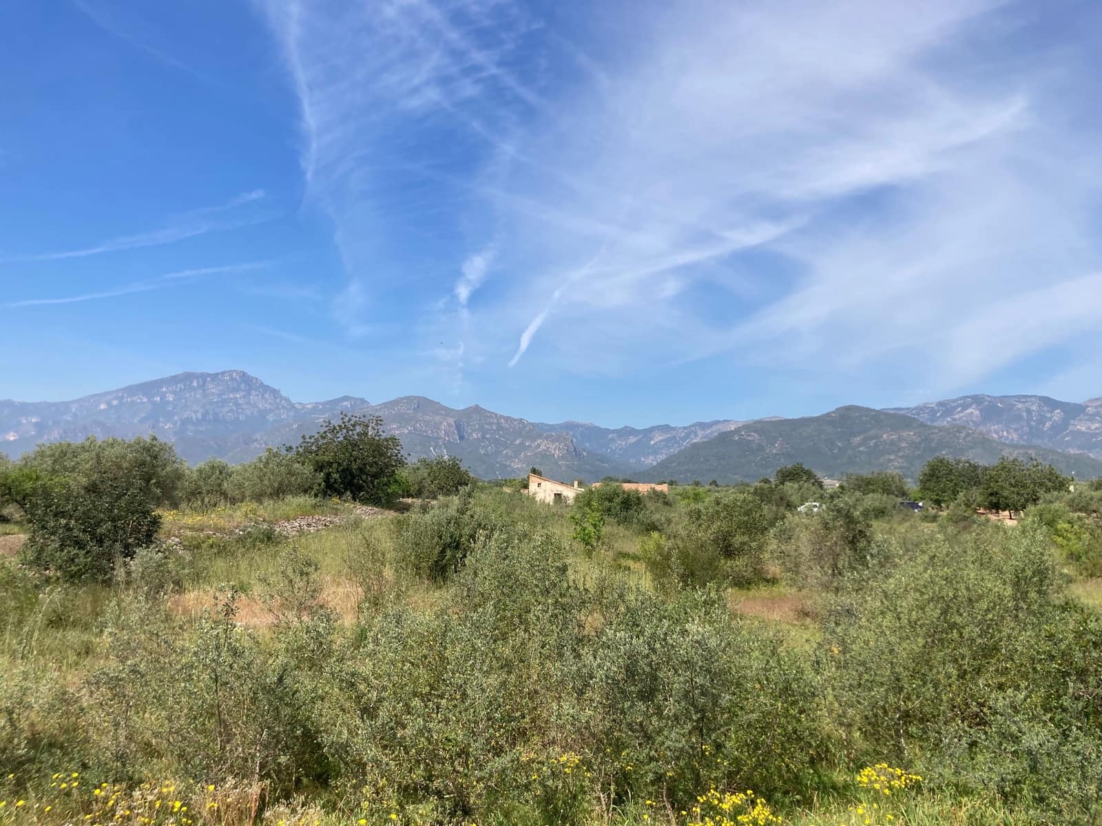 5 slaapkamer Finca/Landhuis te koop in El Perello - € 42.000 (Ref: 9870428)