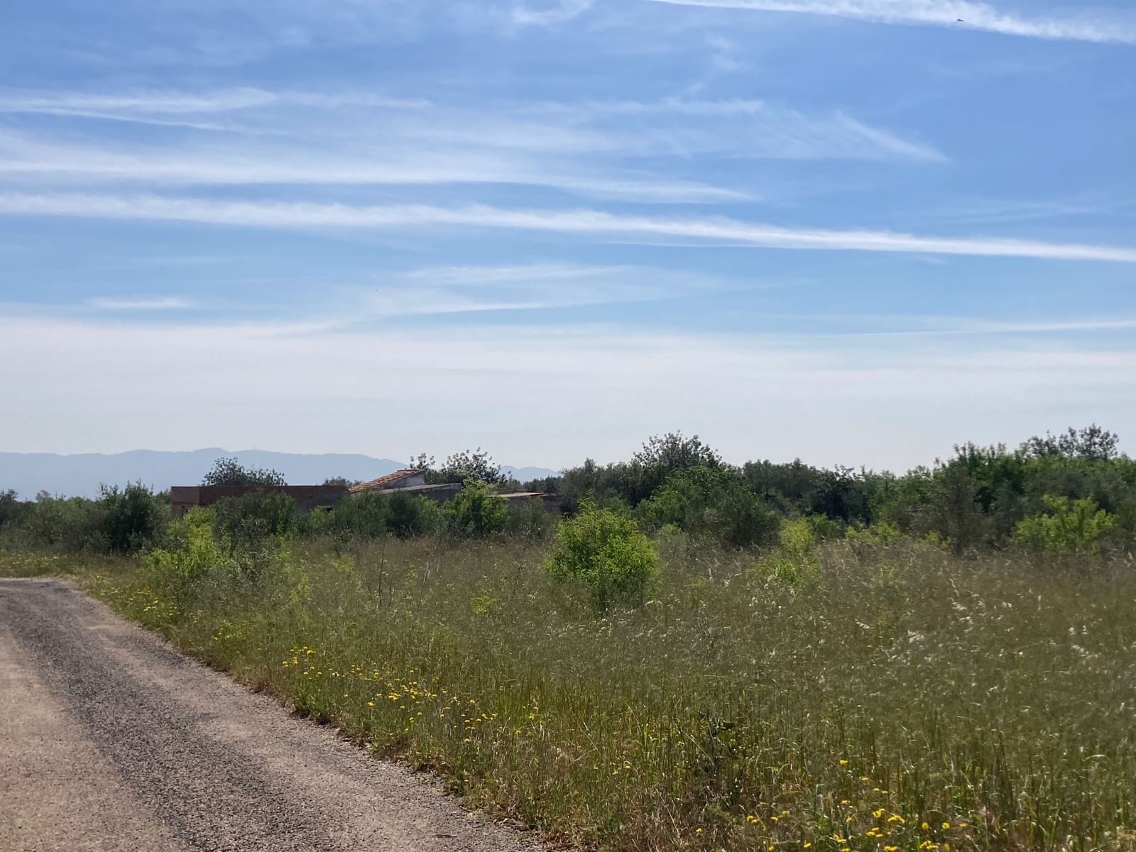 5 slaapkamer Finca/Landhuis te koop in El Perello - € 42.000 (Ref: 9870428)
