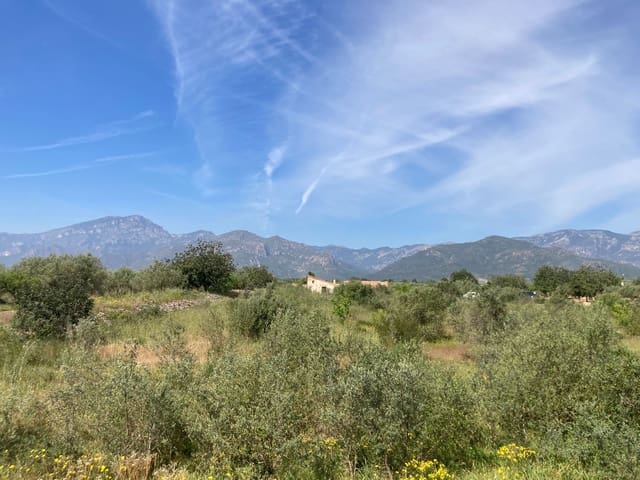 5 slaapkamer Finca/Landhuis te koop in El Perelló - € 42.000 (Ref: 9870428)