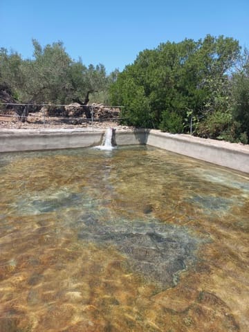 Finca/Casa Rural de 4 habitaciones en El Perelló en venta con piscina garaje - 199.000 € (Ref: 9870440)