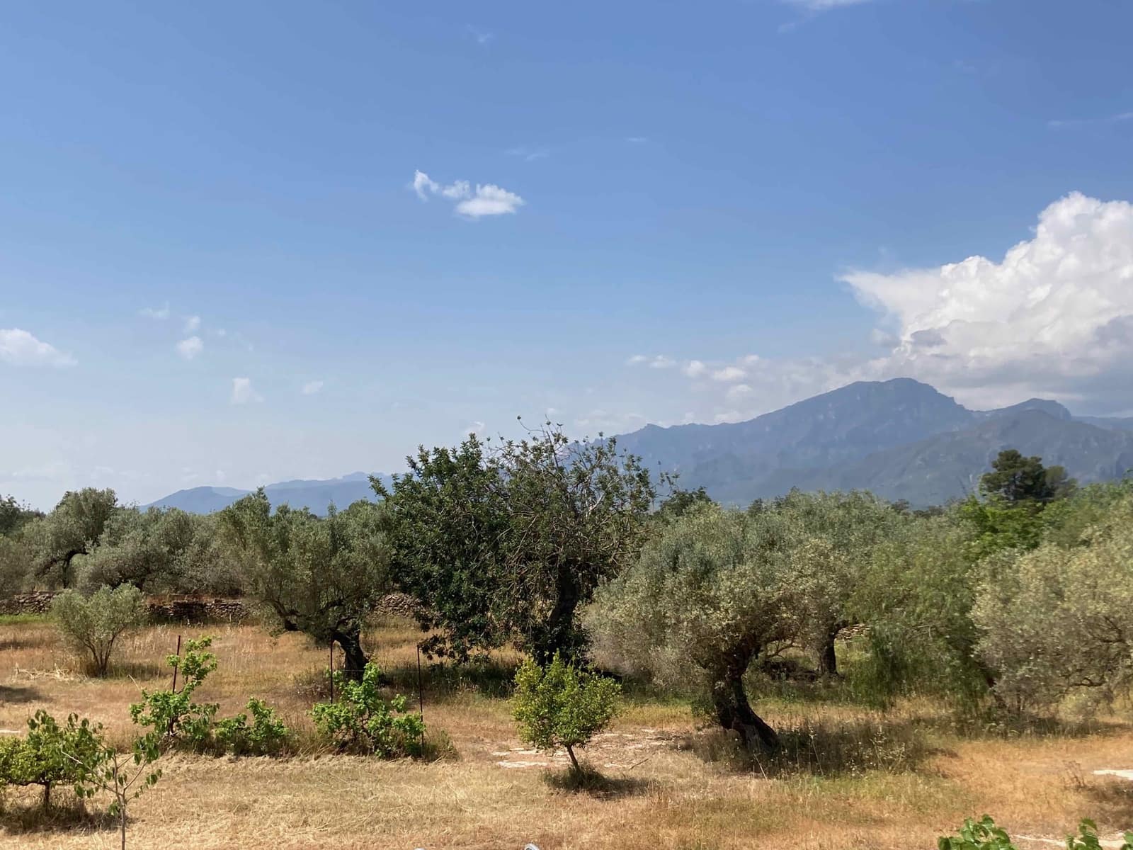 Finca/Casa Rural de 4 habitaciones en El Perelló en venta con piscina garaje - 199.000 € (Ref: 9870440)