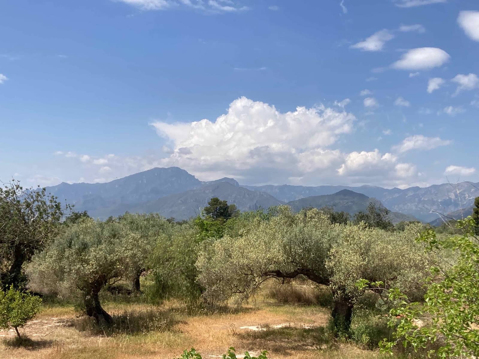 Finca/Casa Rural de 4 habitaciones en El Perelló en venta con piscina garaje - 199.000 € (Ref: 9870440)