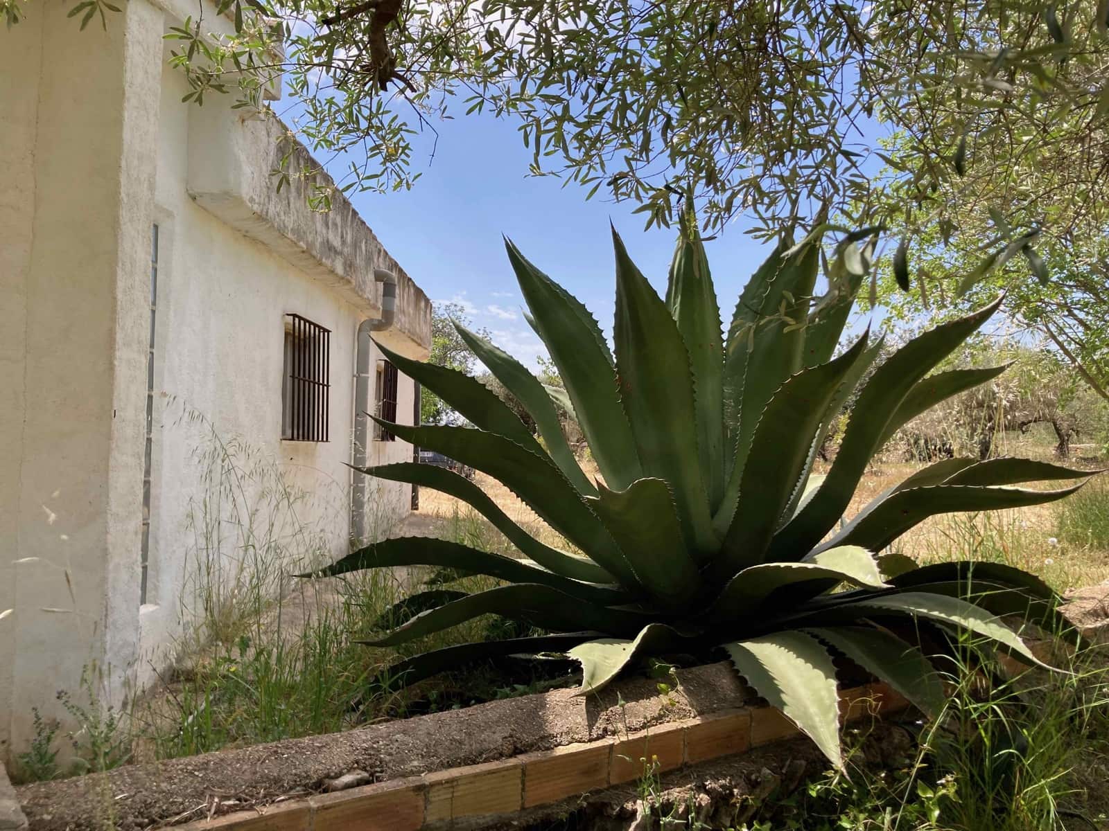 Finca/Casa Rural de 4 habitaciones en El Perelló en venta con piscina garaje - 199.000 € (Ref: 9870440)