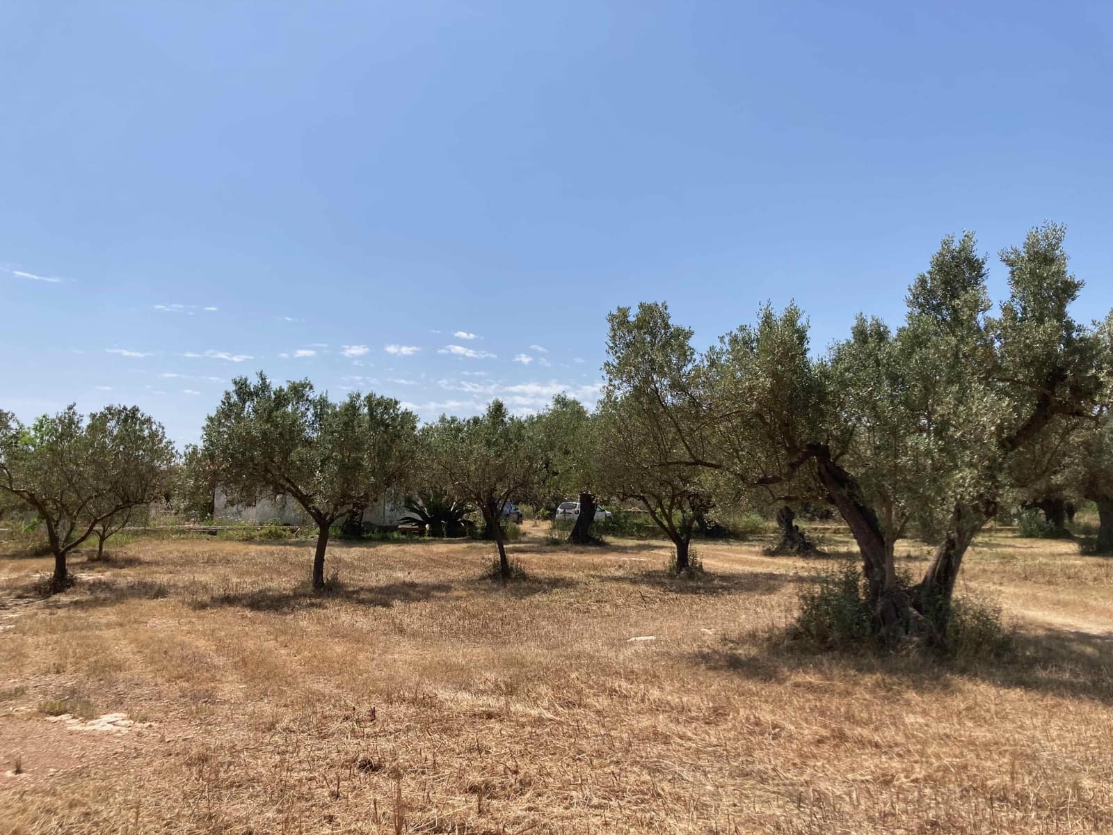 Finca/Casa Rural de 4 habitaciones en El Perelló en venta con piscina garaje - 199.000 € (Ref: 9870440)