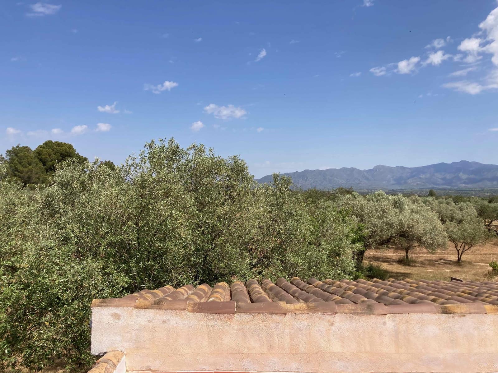 Finca/Casa Rural de 4 habitaciones en El Perelló en venta con piscina garaje - 199.000 € (Ref: 9870440)