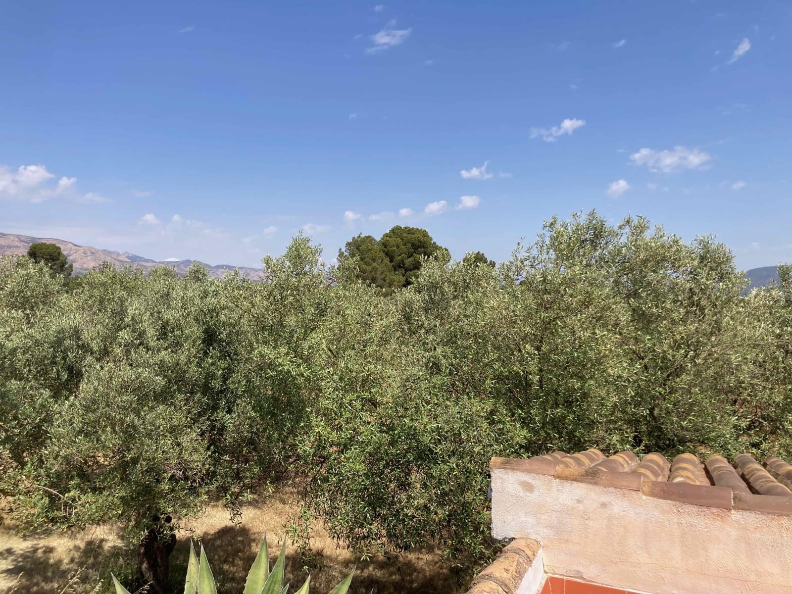 Finca/Casa Rural de 4 habitaciones en El Perelló en venta con piscina garaje - 199.000 € (Ref: 9870440)
