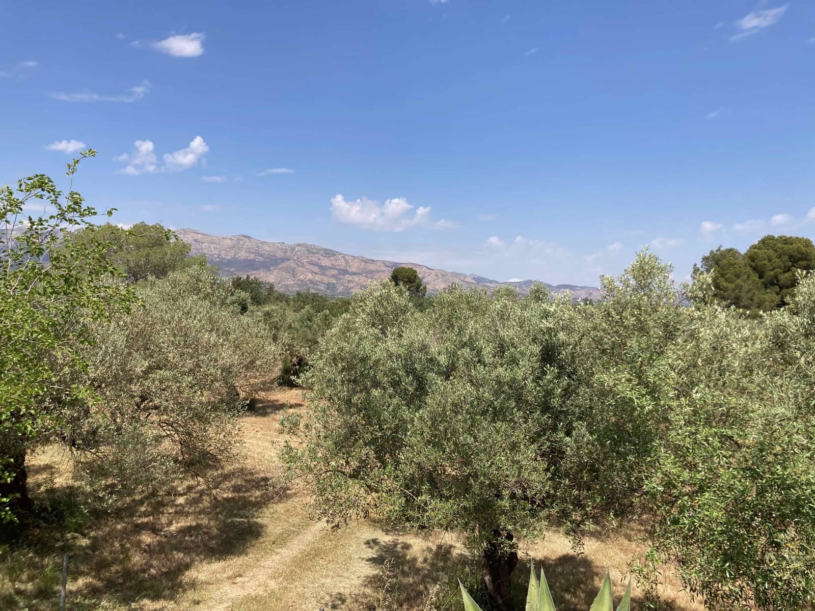 Finca/Casa Rural de 4 habitaciones en El Perelló en venta con piscina garaje - 199.000 € (Ref: 9870440)