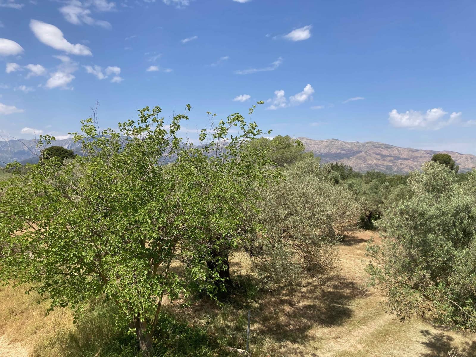 Finca/Casa Rural de 4 habitaciones en El Perelló en venta con piscina garaje - 199.000 € (Ref: 9870440)