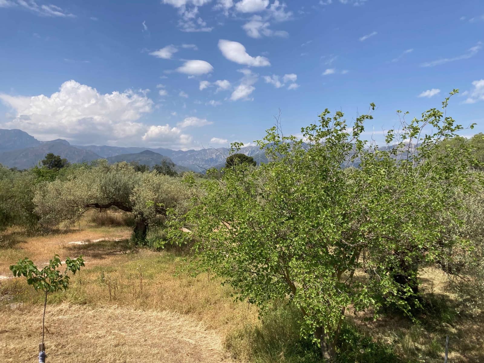 Finca/Casa Rural de 4 habitaciones en El Perelló en venta con piscina garaje - 199.000 € (Ref: 9870440)