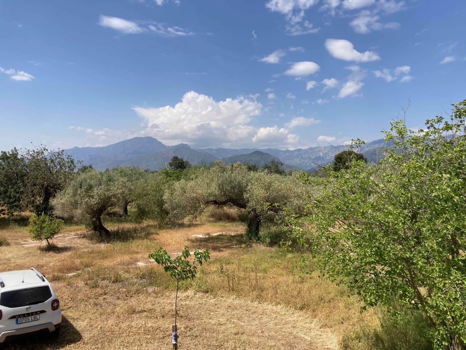Finca/Casa Rural de 4 habitaciones en El Perelló en venta con piscina garaje - 199.000 € (Ref: 9870440)