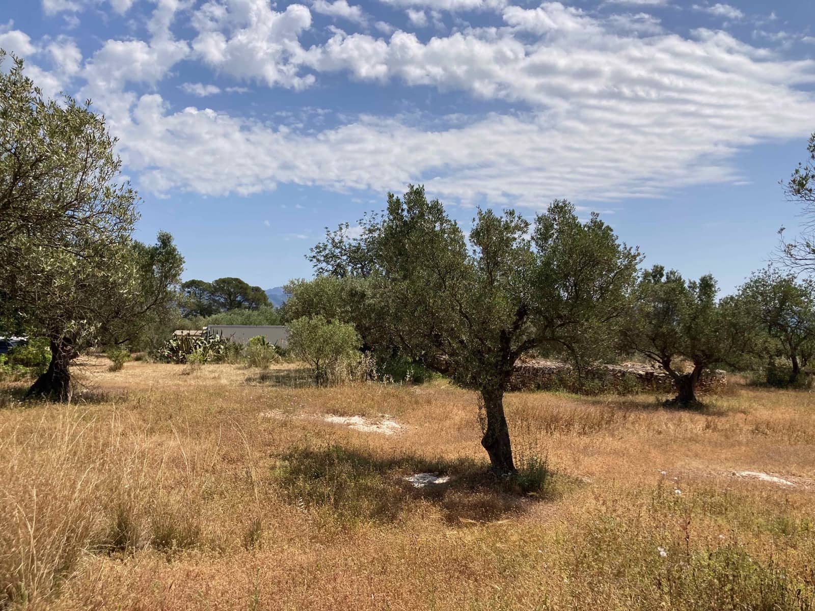 Finca/Casa Rural de 4 habitaciones en El Perelló en venta con piscina garaje - 199.000 € (Ref: 9870440)