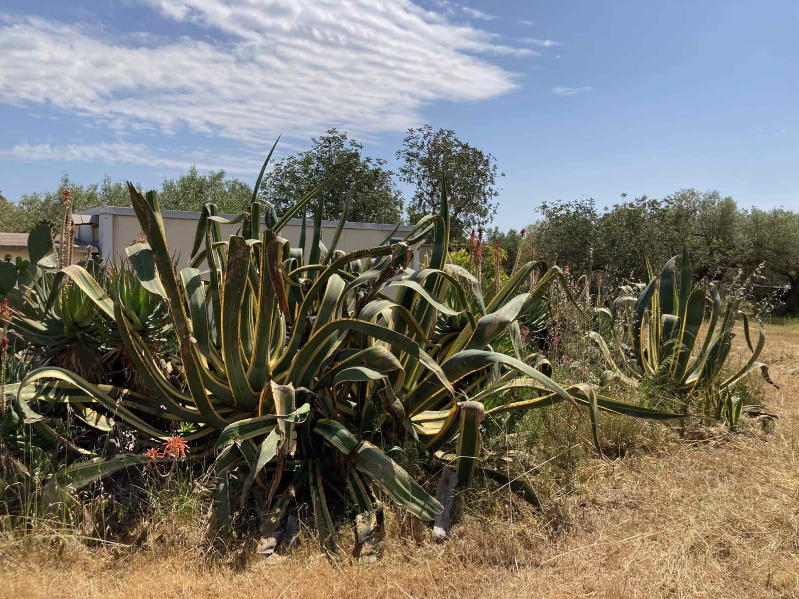 Finca/Casa Rural de 4 habitaciones en El Perelló en venta con piscina garaje - 199.000 € (Ref: 9870440)