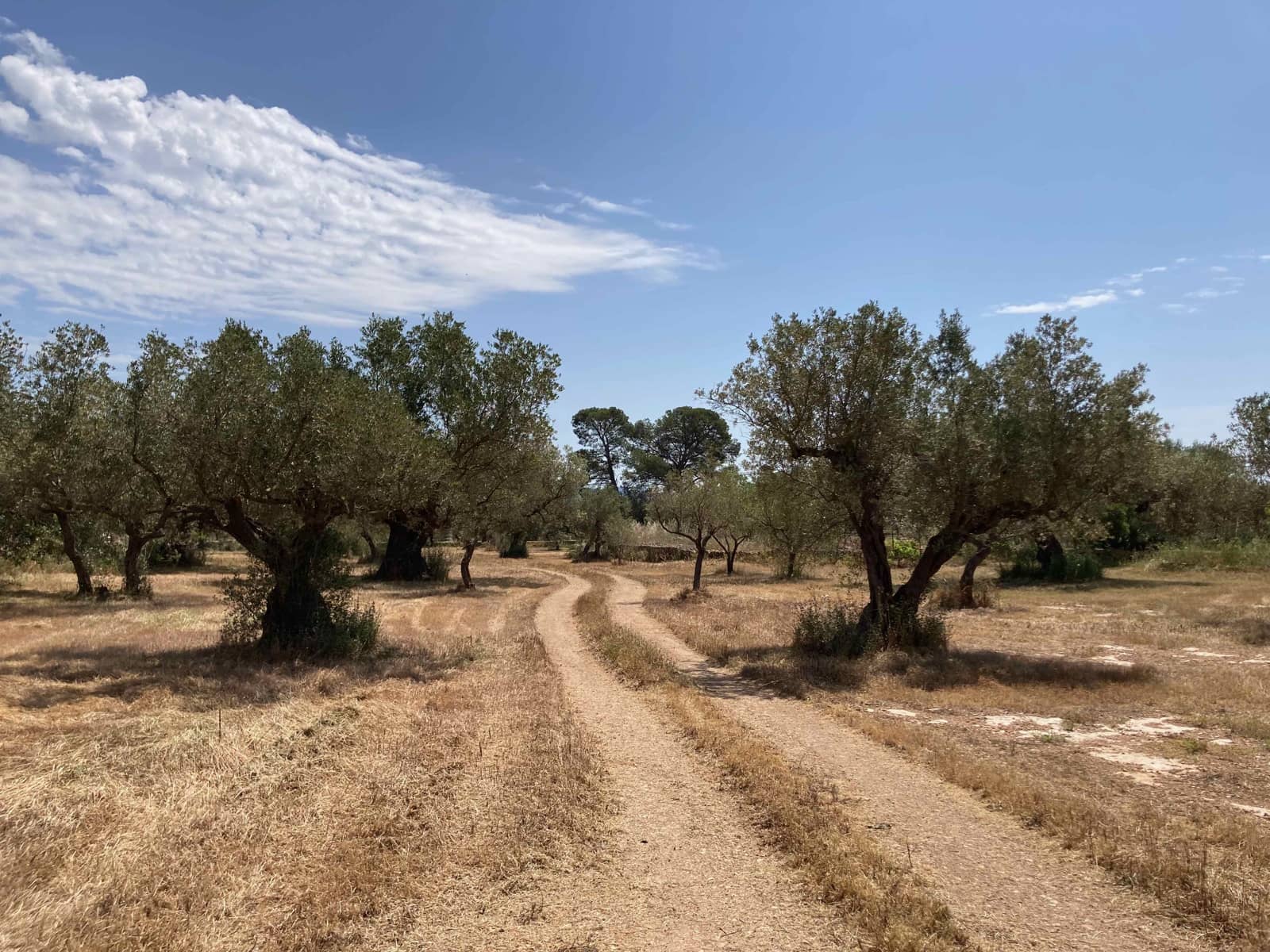 Finca/Casa Rural de 4 habitaciones en El Perelló en venta con piscina garaje - 199.000 € (Ref: 9870440)