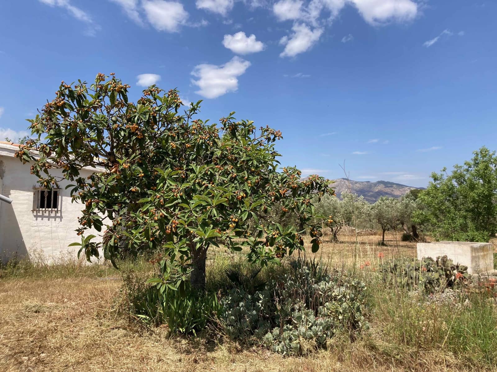 Finca/Casa Rural de 4 habitaciones en El Perelló en venta con piscina garaje - 199.000 € (Ref: 9870440)