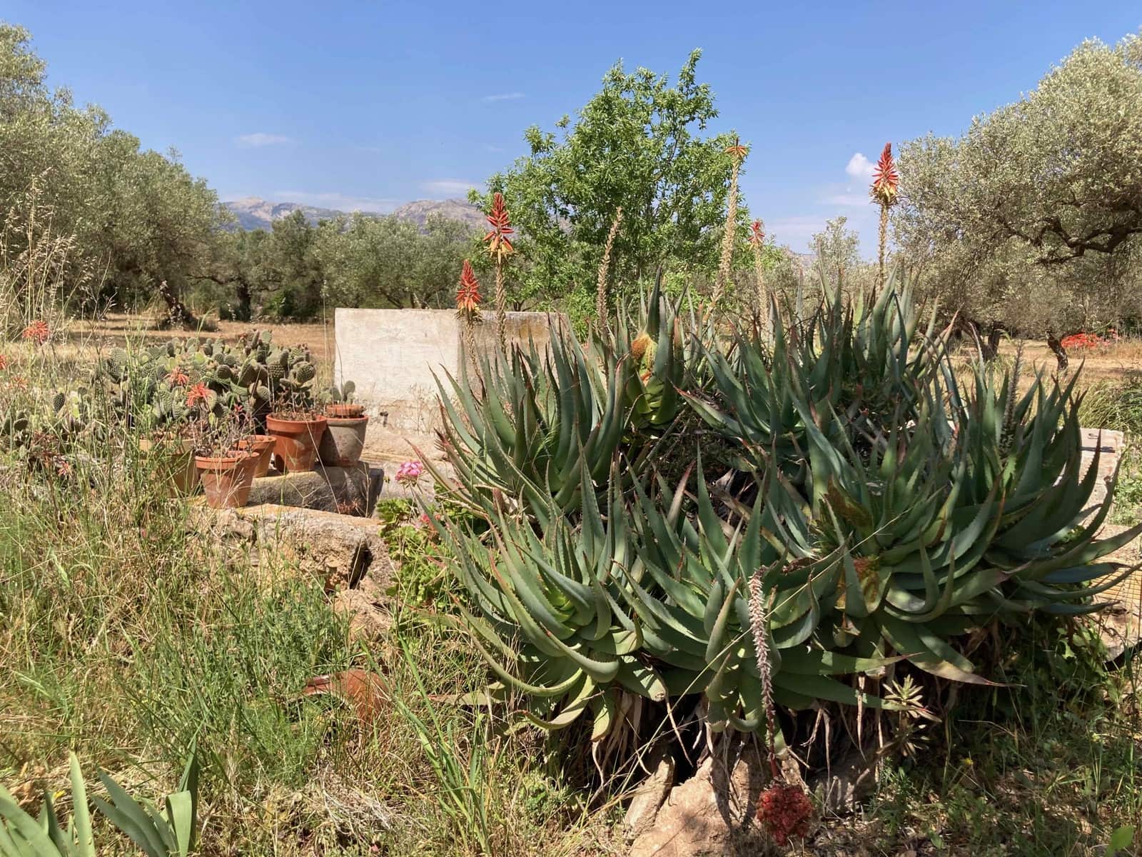 Finca/Casa Rural de 4 habitaciones en El Perelló en venta con piscina garaje - 199.000 € (Ref: 9870440)
